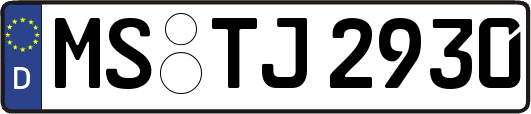 MS-TJ2930