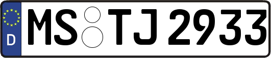 MS-TJ2933