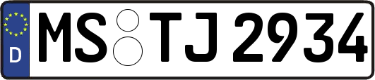 MS-TJ2934