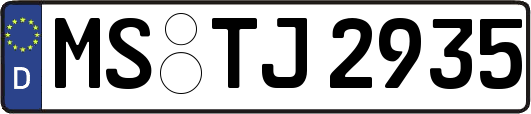 MS-TJ2935