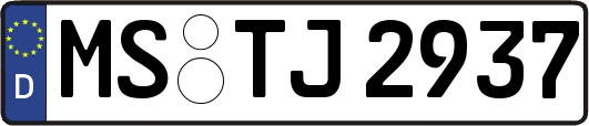MS-TJ2937