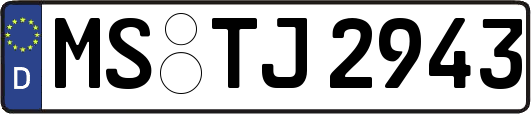 MS-TJ2943
