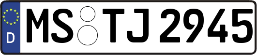 MS-TJ2945