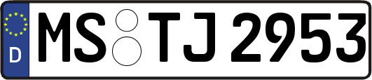 MS-TJ2953