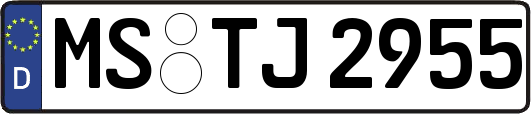 MS-TJ2955