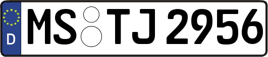 MS-TJ2956