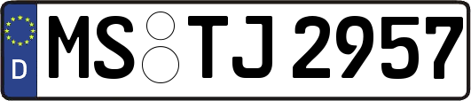 MS-TJ2957