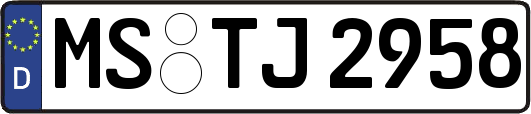 MS-TJ2958