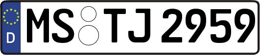 MS-TJ2959