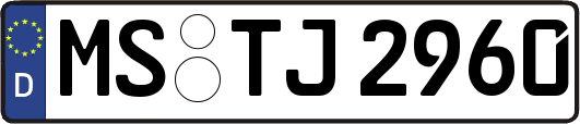 MS-TJ2960