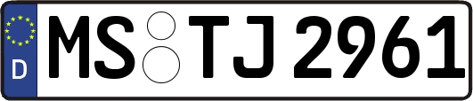 MS-TJ2961