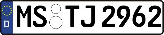 MS-TJ2962