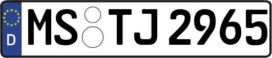 MS-TJ2965
