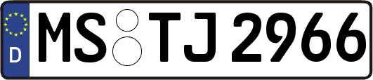 MS-TJ2966