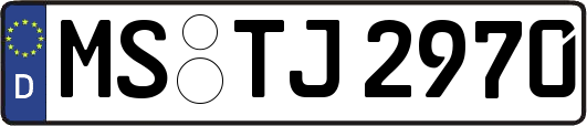 MS-TJ2970