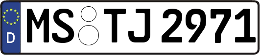MS-TJ2971