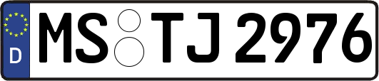 MS-TJ2976