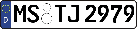 MS-TJ2979