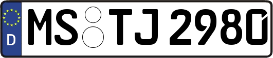 MS-TJ2980