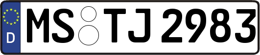 MS-TJ2983