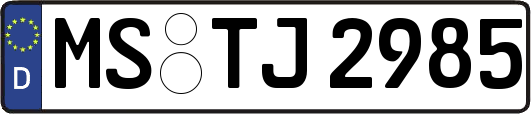 MS-TJ2985