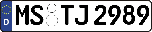 MS-TJ2989