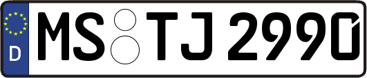 MS-TJ2990