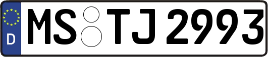 MS-TJ2993