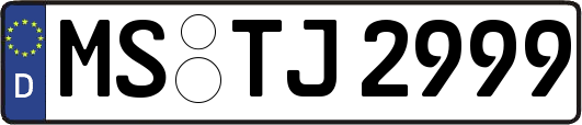 MS-TJ2999