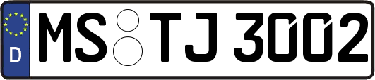 MS-TJ3002