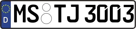 MS-TJ3003
