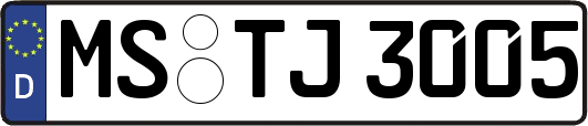 MS-TJ3005