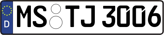 MS-TJ3006