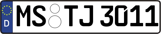 MS-TJ3011