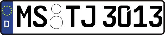 MS-TJ3013