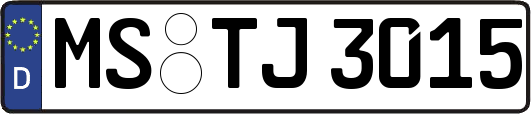 MS-TJ3015