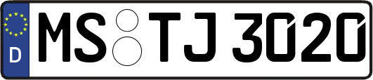 MS-TJ3020