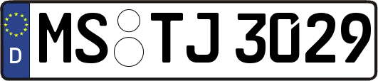 MS-TJ3029