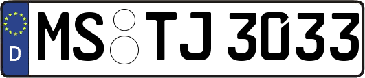 MS-TJ3033