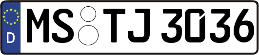 MS-TJ3036
