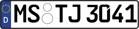 MS-TJ3041