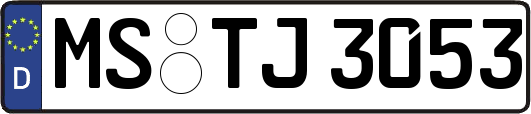 MS-TJ3053