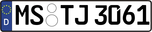 MS-TJ3061