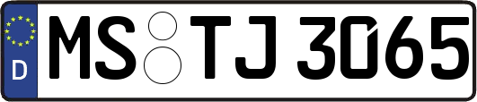 MS-TJ3065