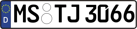 MS-TJ3066