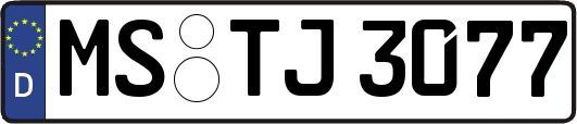 MS-TJ3077