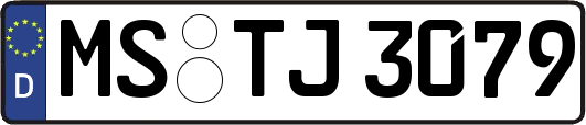 MS-TJ3079