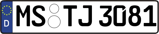 MS-TJ3081