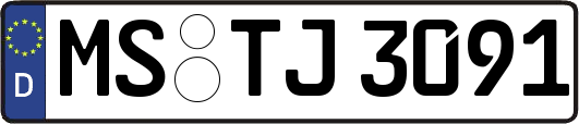 MS-TJ3091