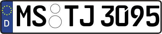 MS-TJ3095